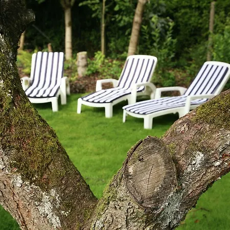 Im Gruenen Eifel Holiday home