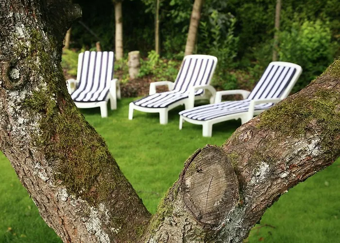 Im Gruenen Eifel Feriehus